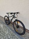 Scott Contessa Active 50