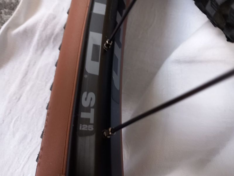 KOLA WTB STi 25 Boost