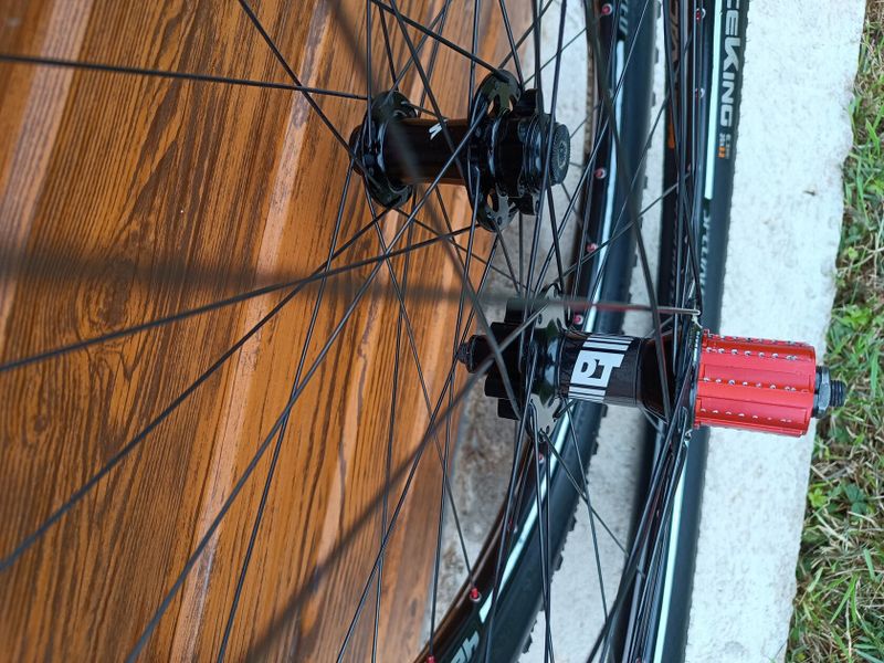 DT SWISS DL420