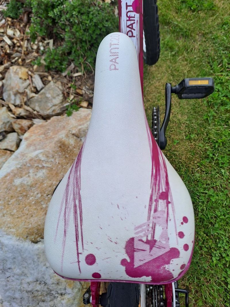 Superior Paint 20"