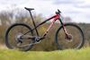Koupím bike HT, vel. L