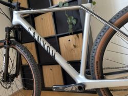 Canyon Exceed CF 7 Quick Silver / vel.L / Sram Eagle GX 1x12