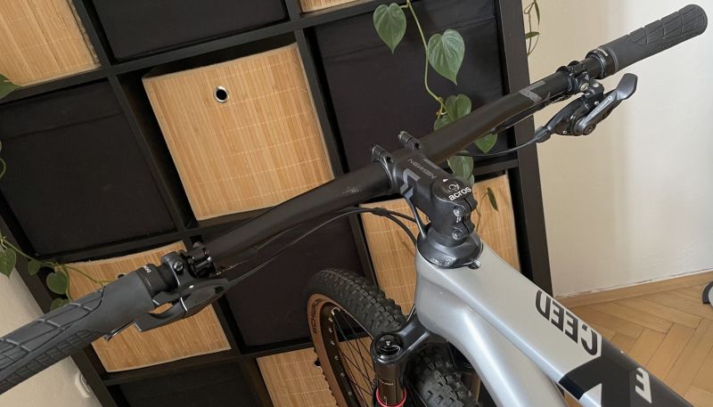 Canyon Exceed CF 7 Quick Silver / vel.L / Sram Eagle GX 1x12