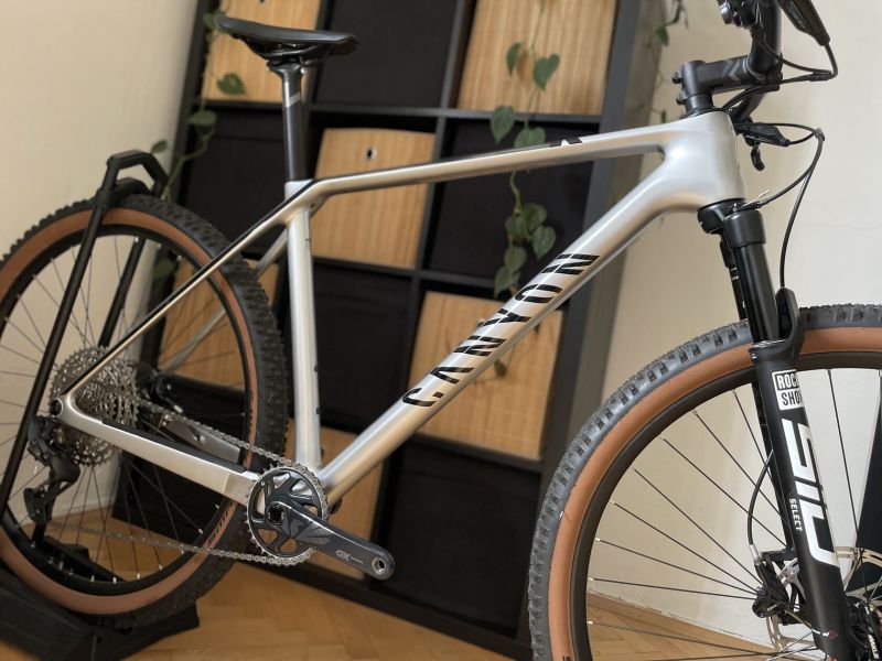 Canyon Exceed CF 7 Quick Silver / vel.L / Sram Eagle GX 1x12