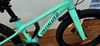 Specialized 20" riprock mint