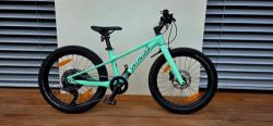 Specialized 20" riprock mint