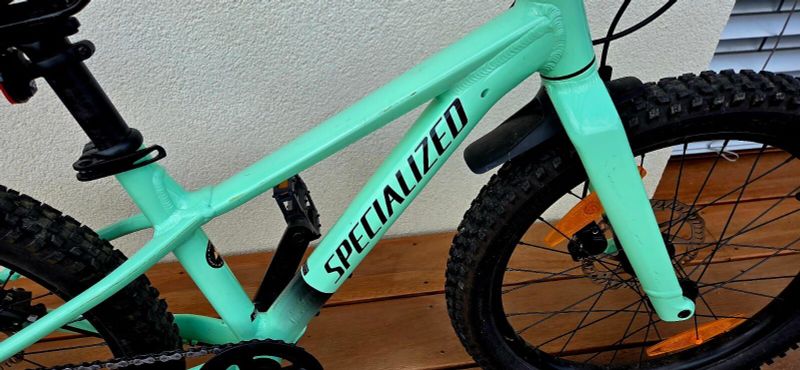 Specialized 20" riprock mint