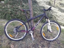 Scott Contessa.