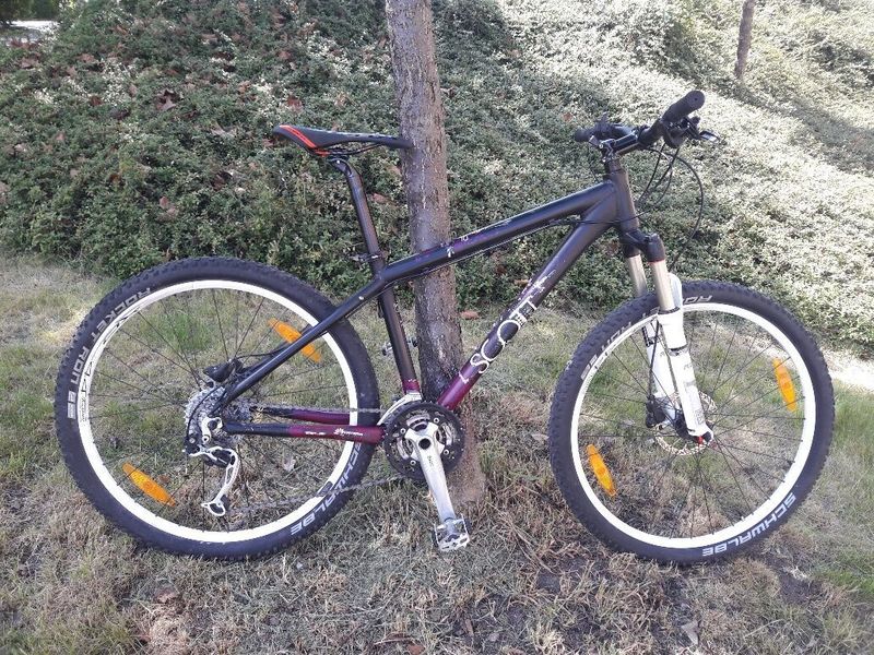 Scott Contessa.