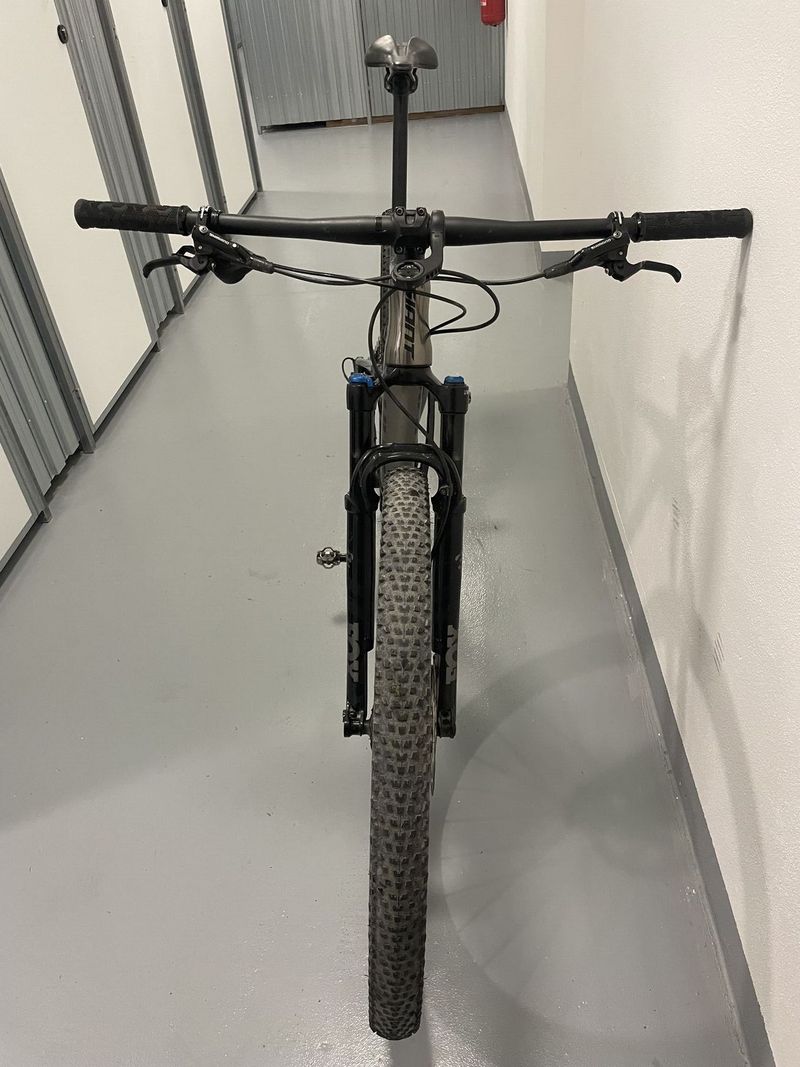 Giant Anthem 29 1 (2021)