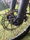 Ctm dirtking