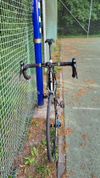 Focus Cayo Carbon 