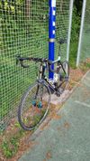 Focus Cayo Carbon 