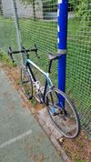 Focus Cayo Carbon 