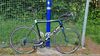 Focus Cayo Carbon 