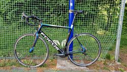 Focus Cayo Carbon 
