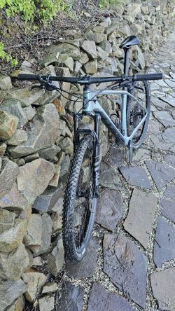 Scott scale 920 2022
