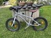 Early Rider Belter 16"