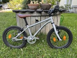 Early Rider Belter 16"