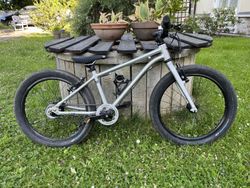 Early Rider Belter 20"