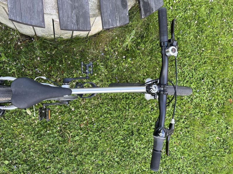 Early Rider Belter 20"