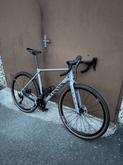 Canyon Grizl