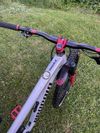 Propain TYEE 29"