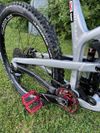 Propain TYEE 29"
