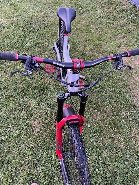 Propain TYEE 29"