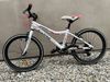 CORE NIPPER 20"