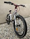 CORE NIPPER 20"