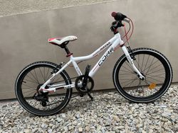CORE NIPPER 20"