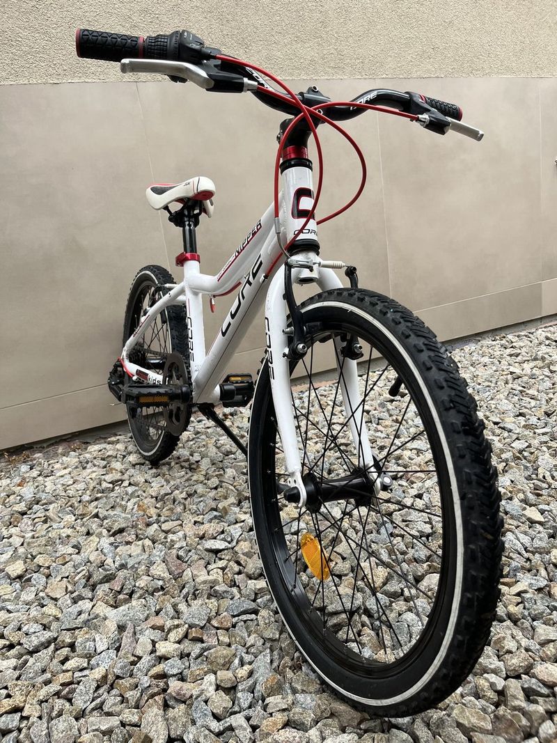 CORE NIPPER 20"
