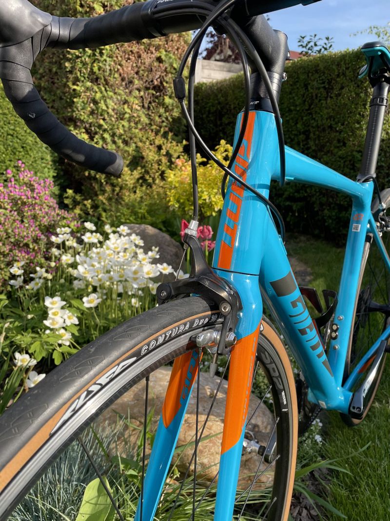 Giant Contend sl