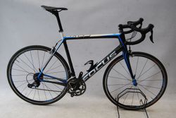 Focus Cayo Carbon