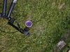 Mongoose bmx