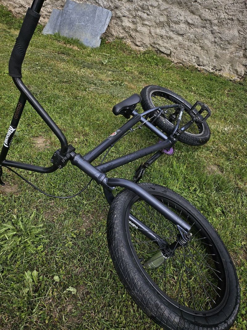 Mongoose bmx