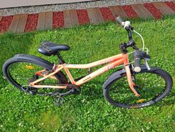 Core Nipper LD 24" PĚKNÉ