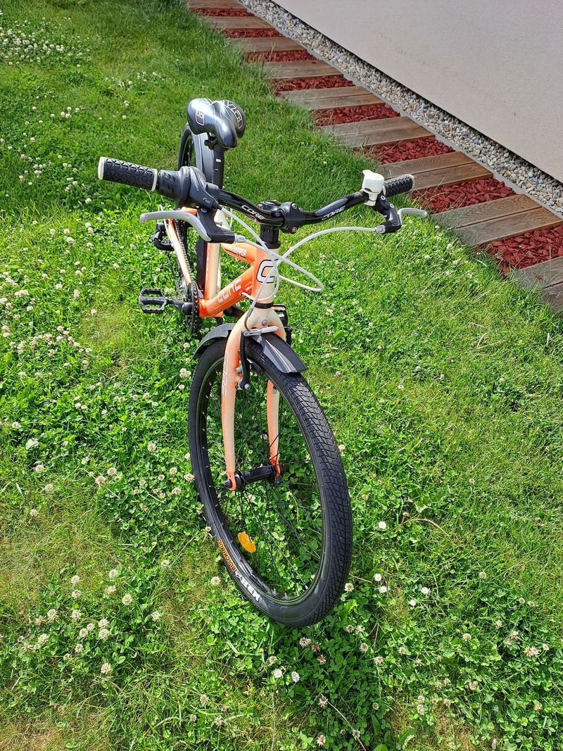 Core Nipper LD 24" PĚKNÉ