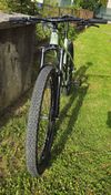 CTM Zephyr Xpert 29" - Šalvějová