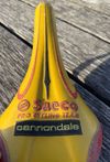 Saeco Cannondale