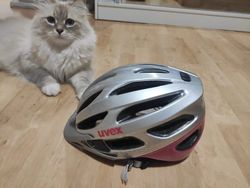 Uvex cyklo helma 