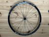 DT Swiss e1700 spline two 