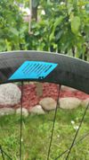 Silniční karbonová kola Fulcrum Wind 55 DB