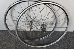 DT Spline 24 