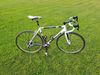 BIANCHI