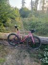 Canyon Grizl