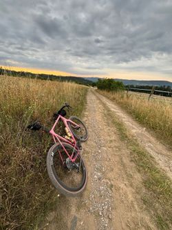 Canyon Grizl