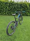 Kellys Reyon 50 kola 29“