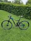 Kellys Reyon 50 kola 29“